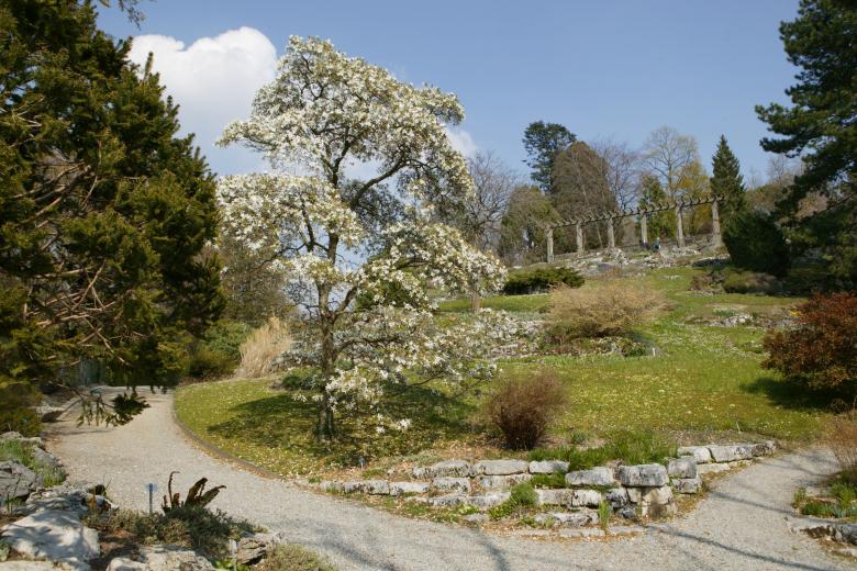 Botanische Gärten der Schweiz Genusszeit